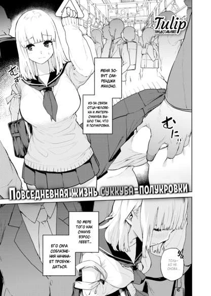 Повседневная жизнь суккуба-полукровки