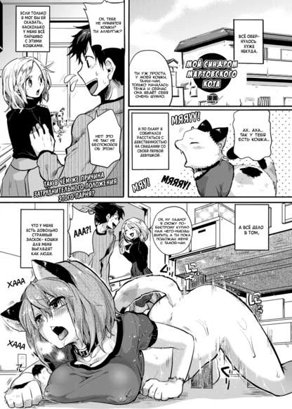 Мой синдром мартовского кота